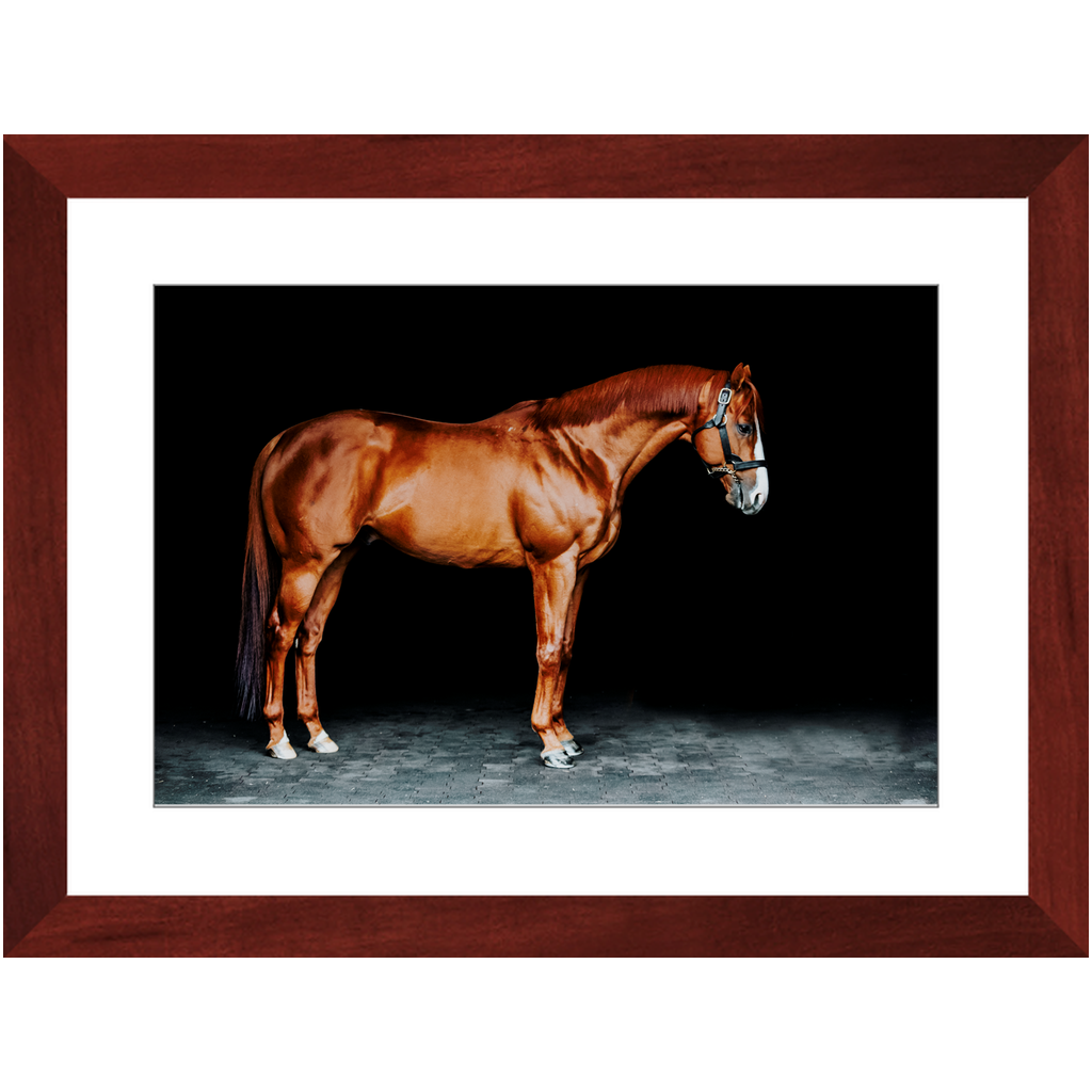 Justify Series 6, Framed Print