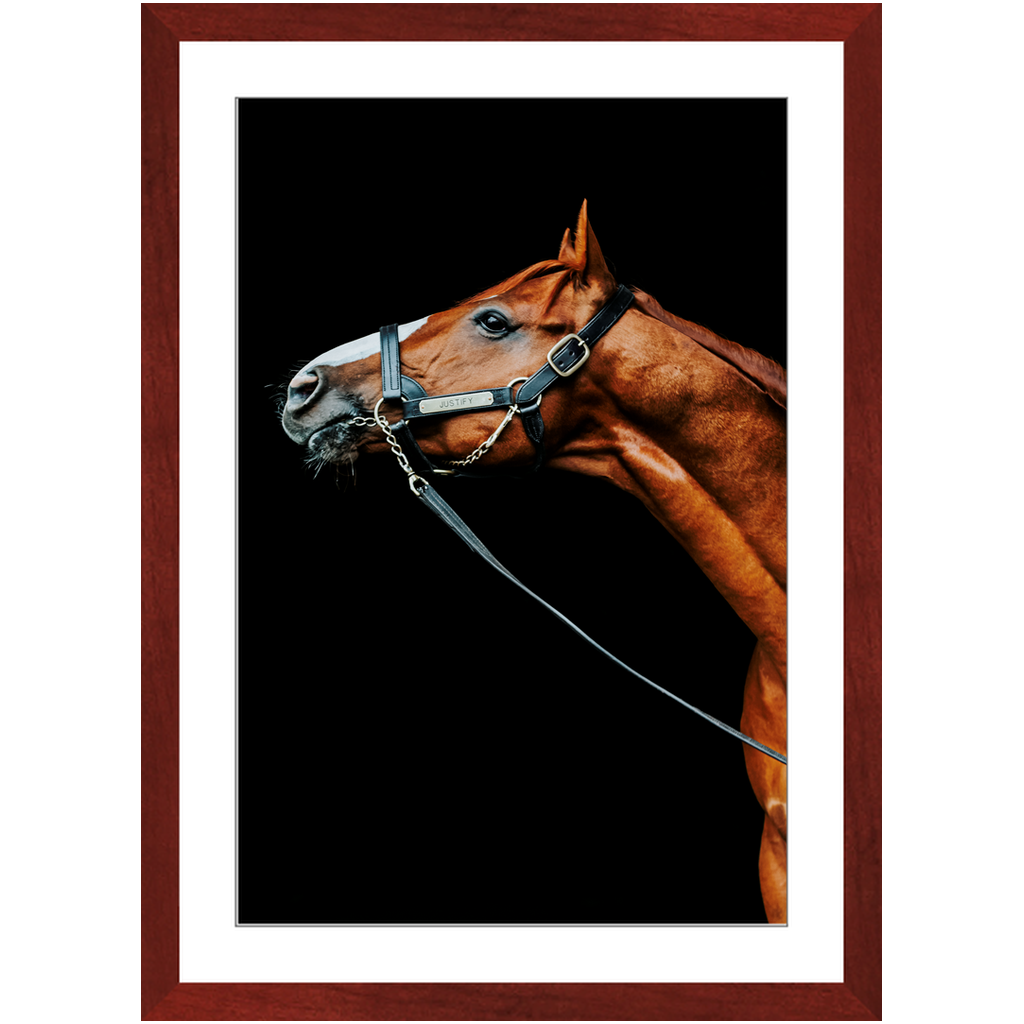 Justify Series 4, Framed Print