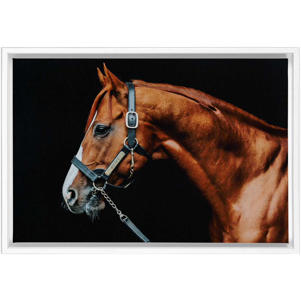 Justify Series 3, Framed Canvas