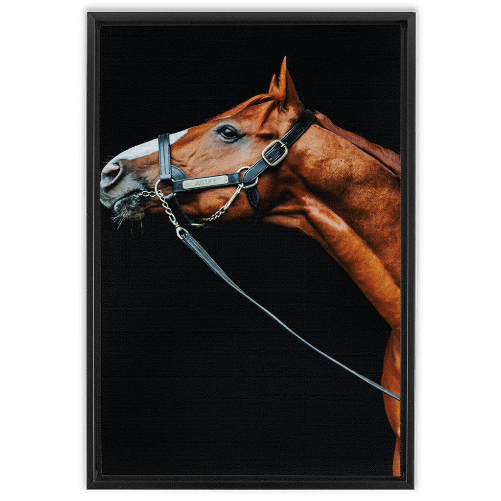 Justify Series 4, Framed Canvas