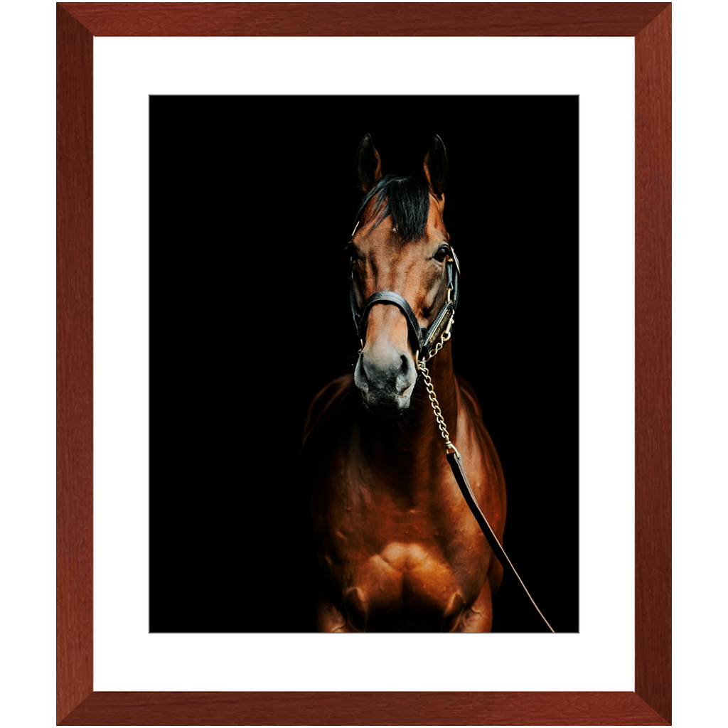 American Pharoah Series 4, Framed Print