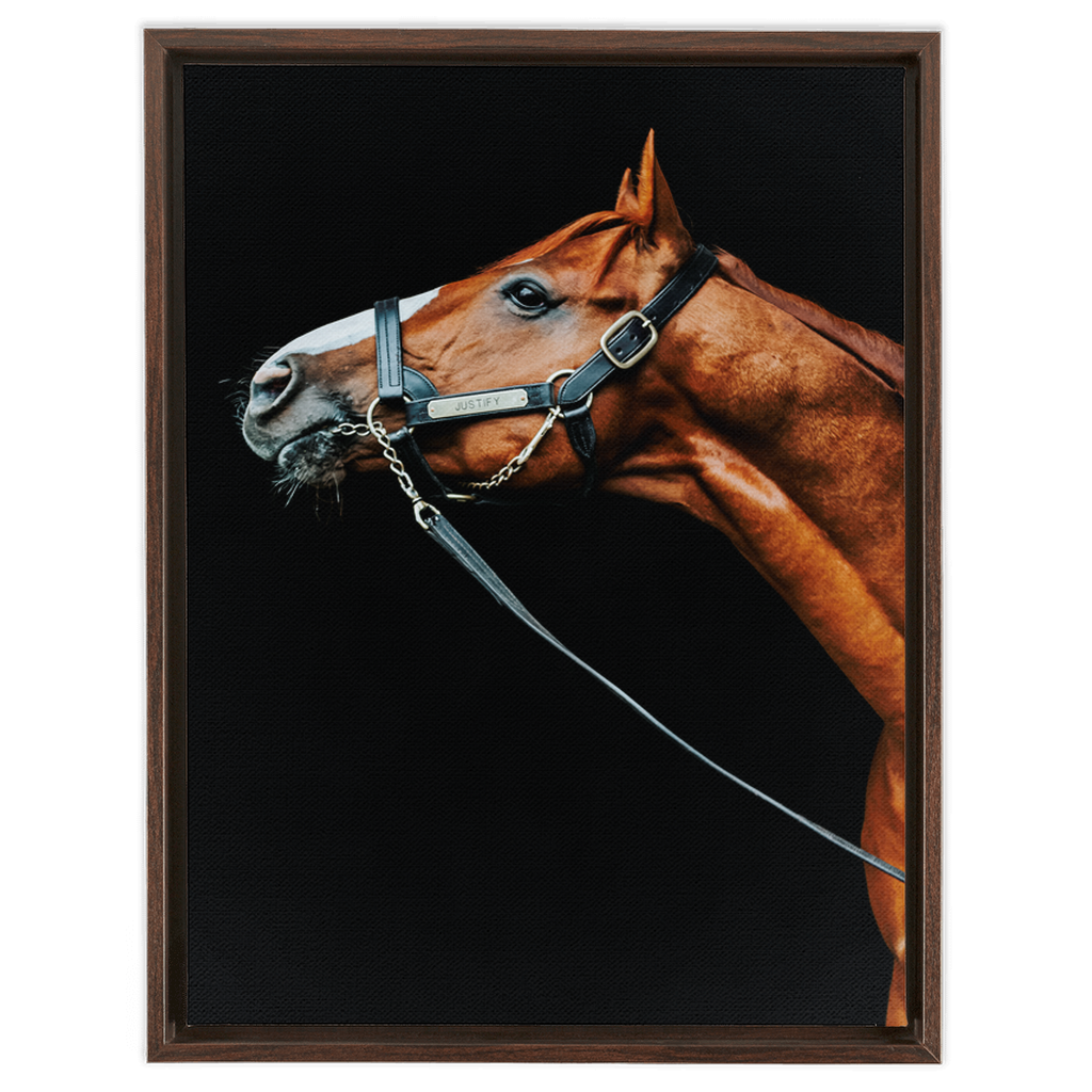 Justify Series 4, Framed Canvas