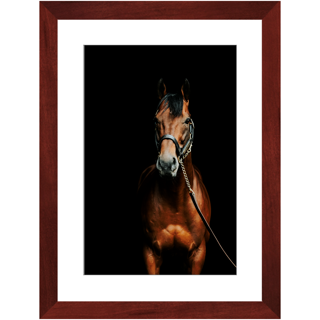 American Pharoah Series 4, Framed Print