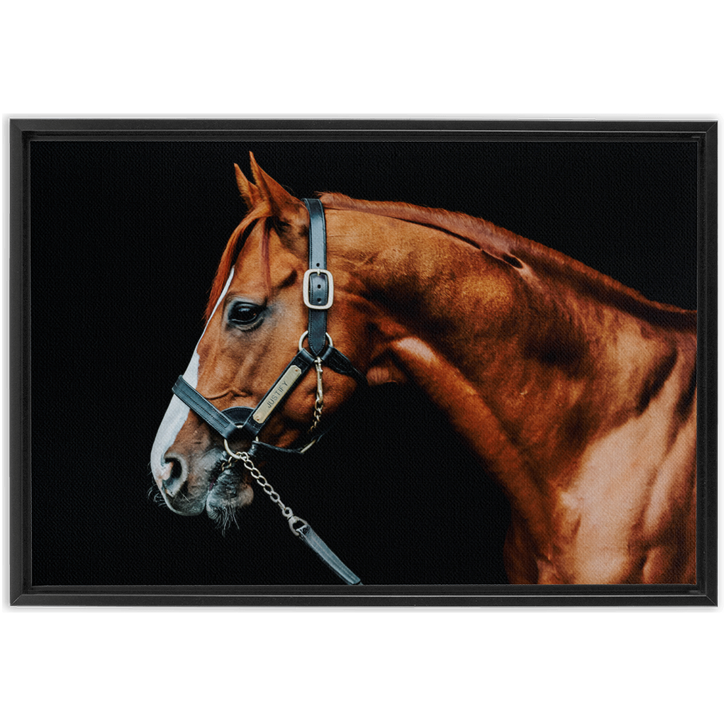 Justify Series 3, Framed Canvas