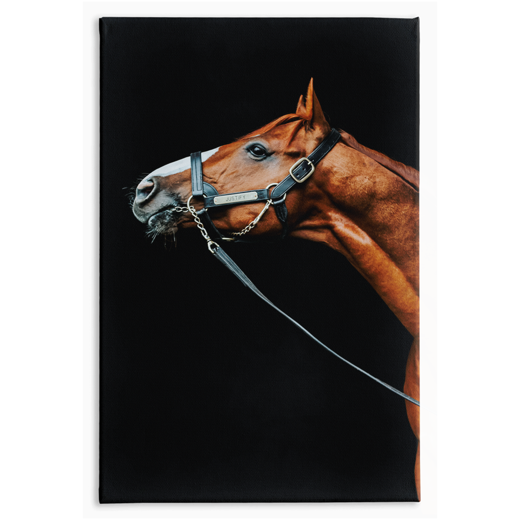 Justify Series 4, Stretched Canvas