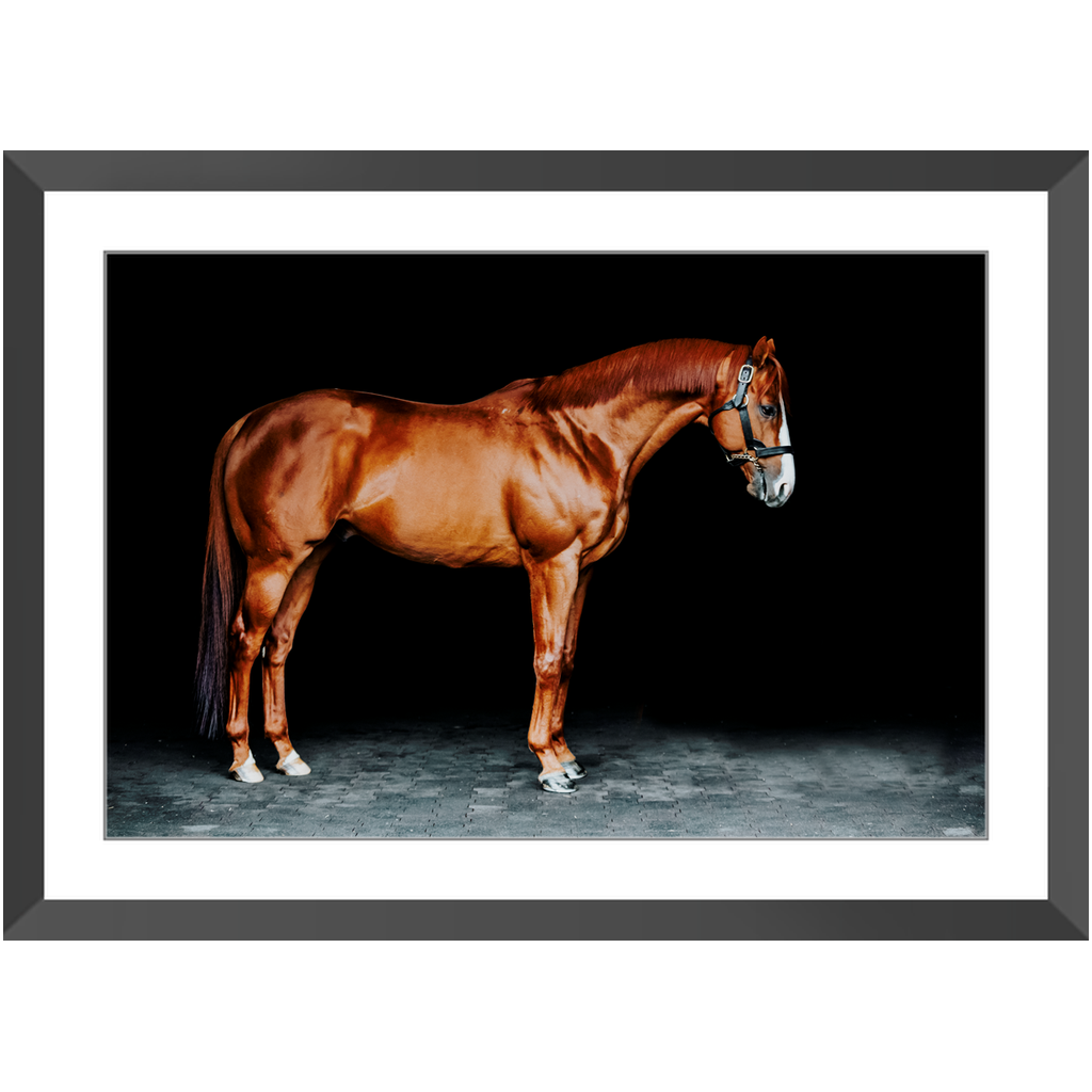 Justify Series 6, Framed Print