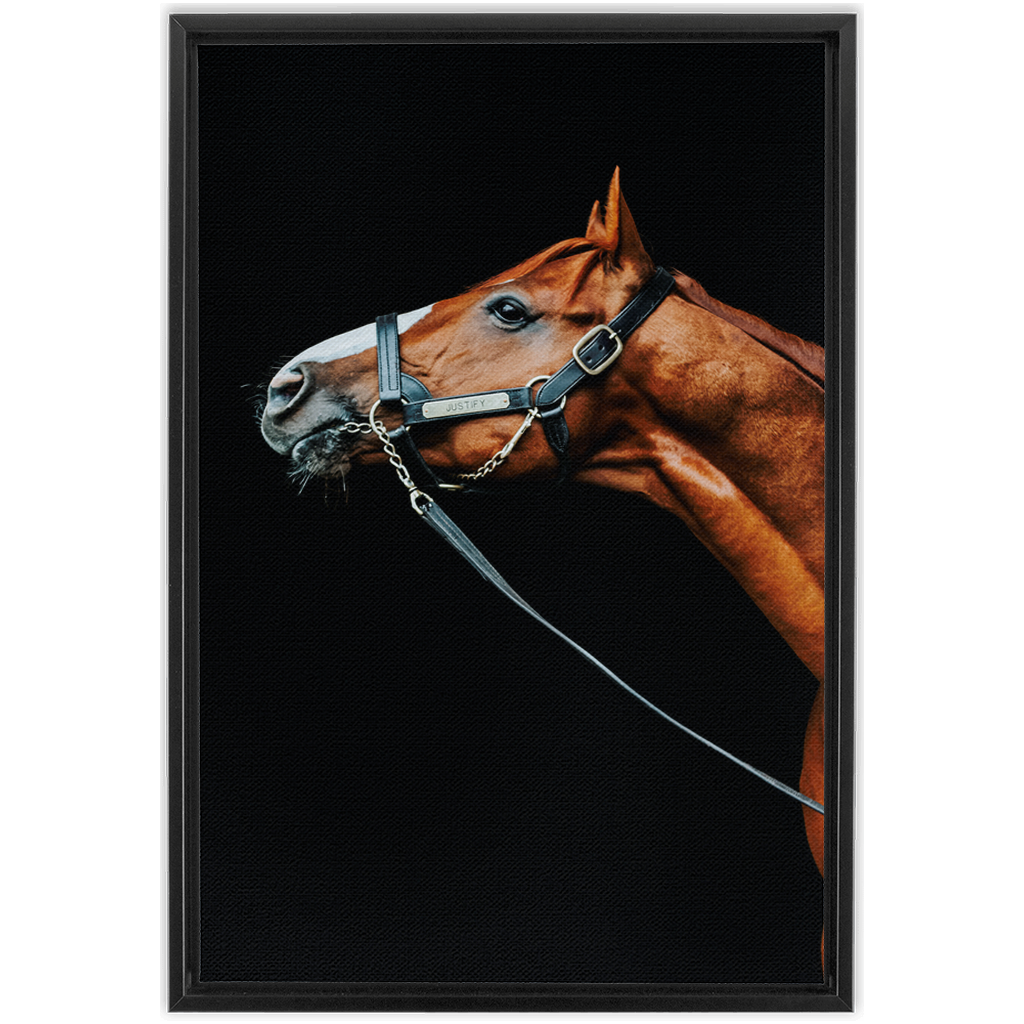 Justify Series 4, Framed Canvas