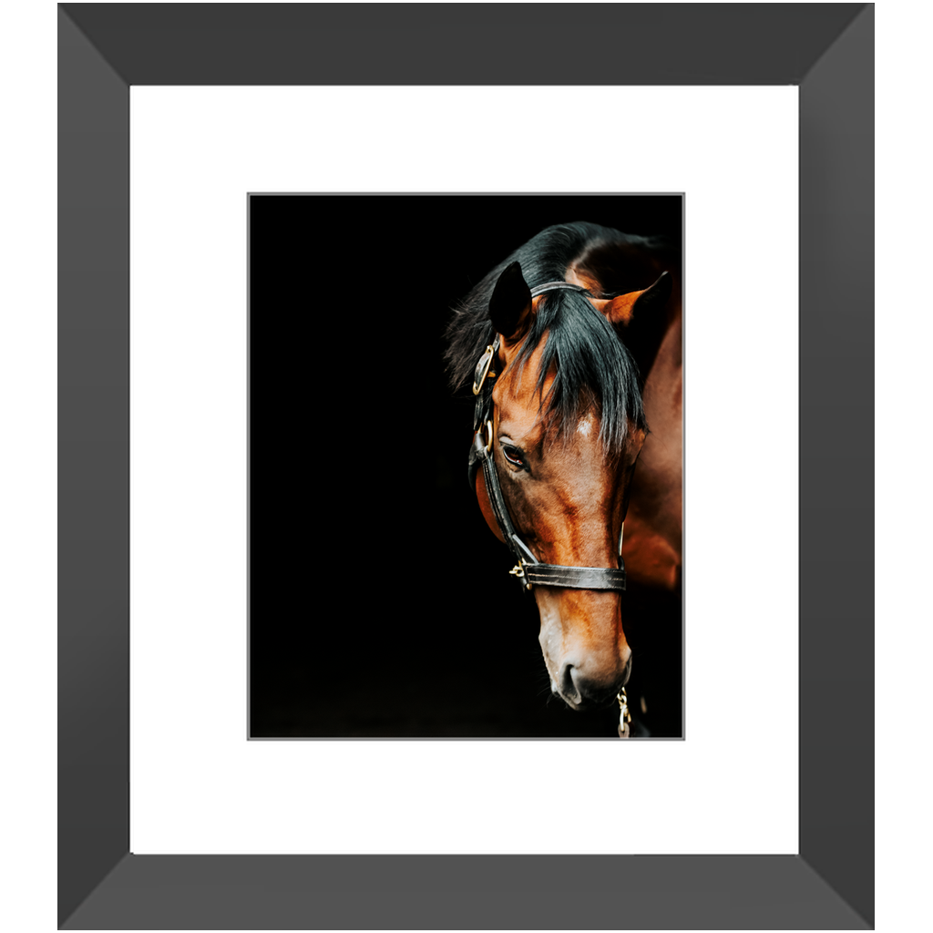 American Pharoah Series 6, Framed Print