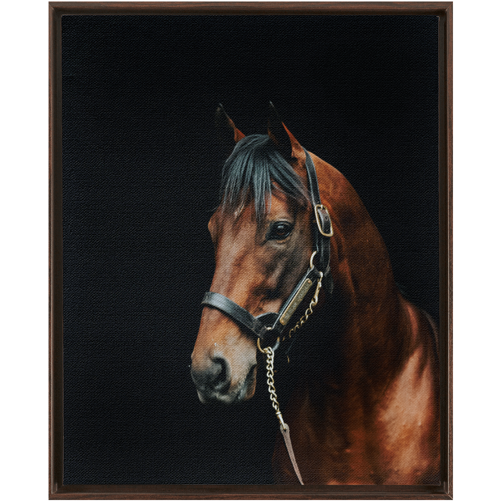 American Pharoah Series 2, Framed Canvas