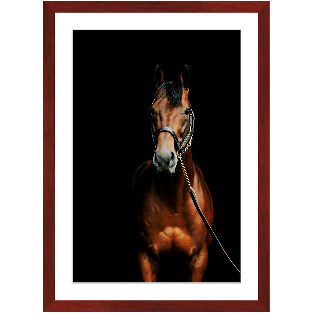 American Pharoah Series 4, Framed Print