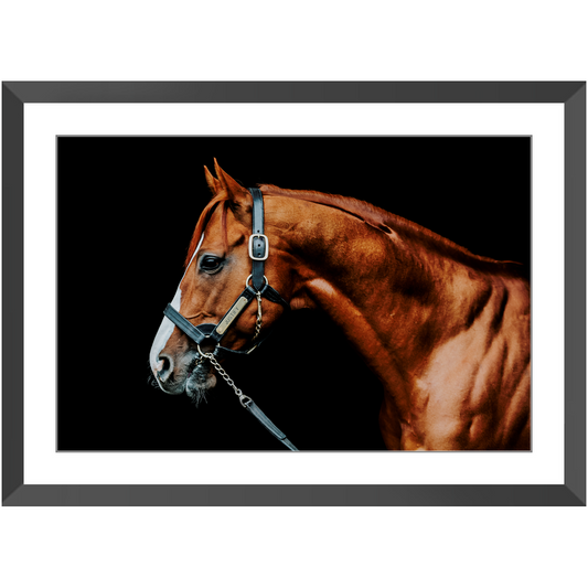 Justify Series 3, Framed Print