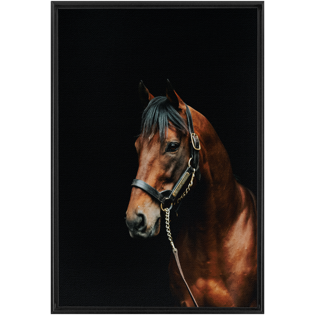 American Pharoah Series 2, Framed Canvas