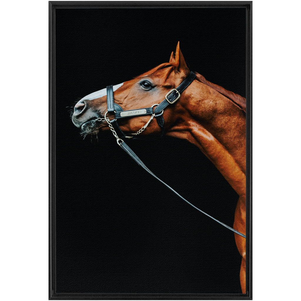 Justify Series 4, Framed Canvas