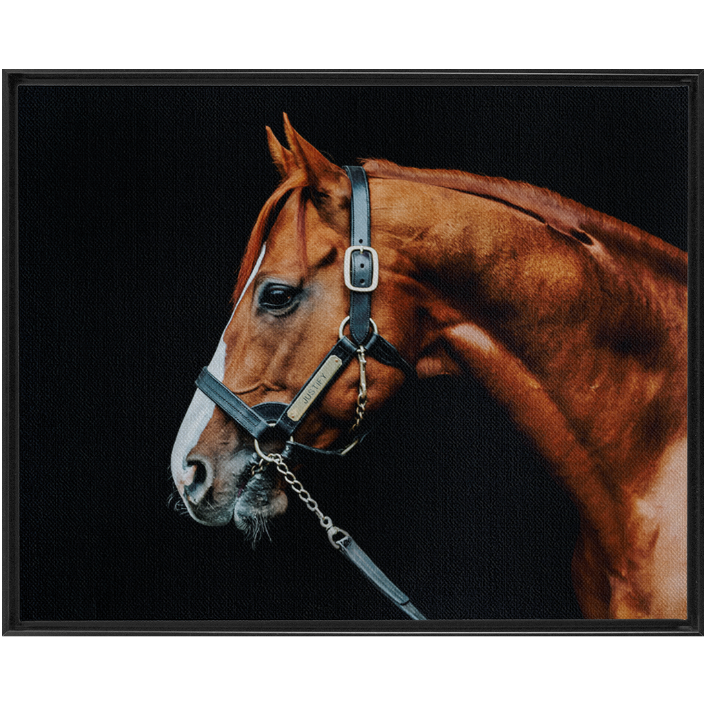 Justify Series 3, Framed Canvas