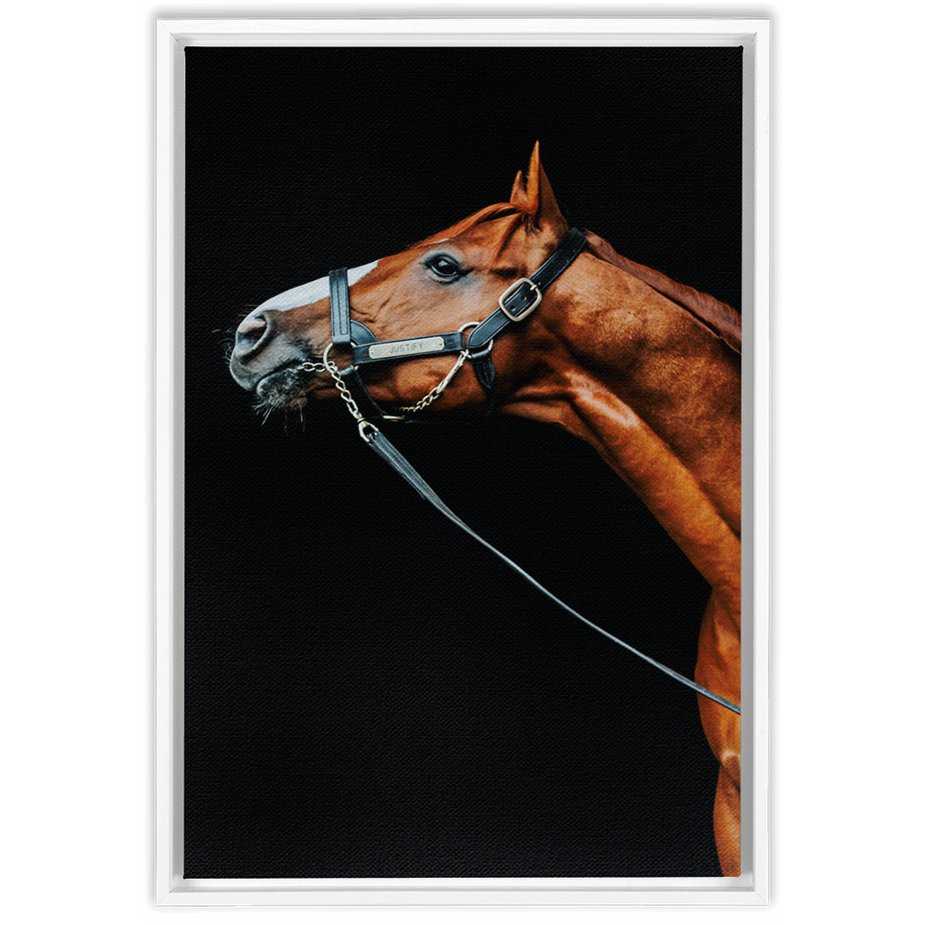 Justify Series 4, Framed Canvas