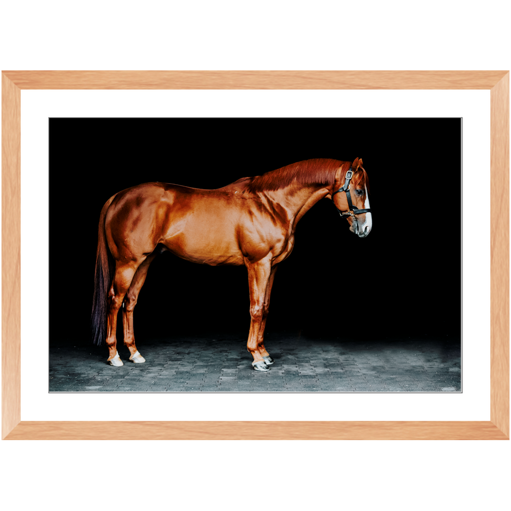 Justify Series 6, Framed Print