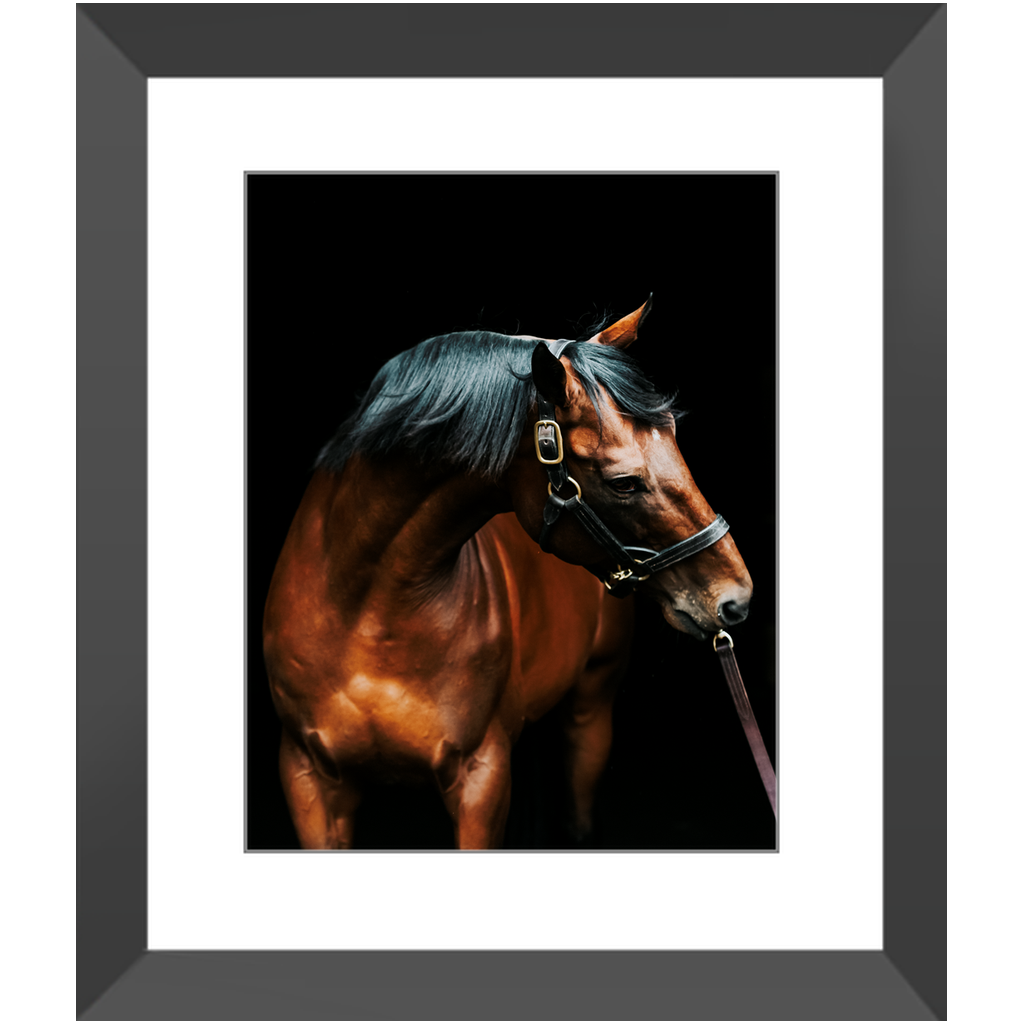 American Pharoah Series 3, Framed Print