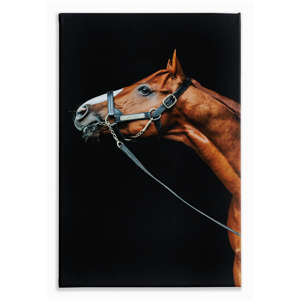 Justify Series 4, Stretched Canvas