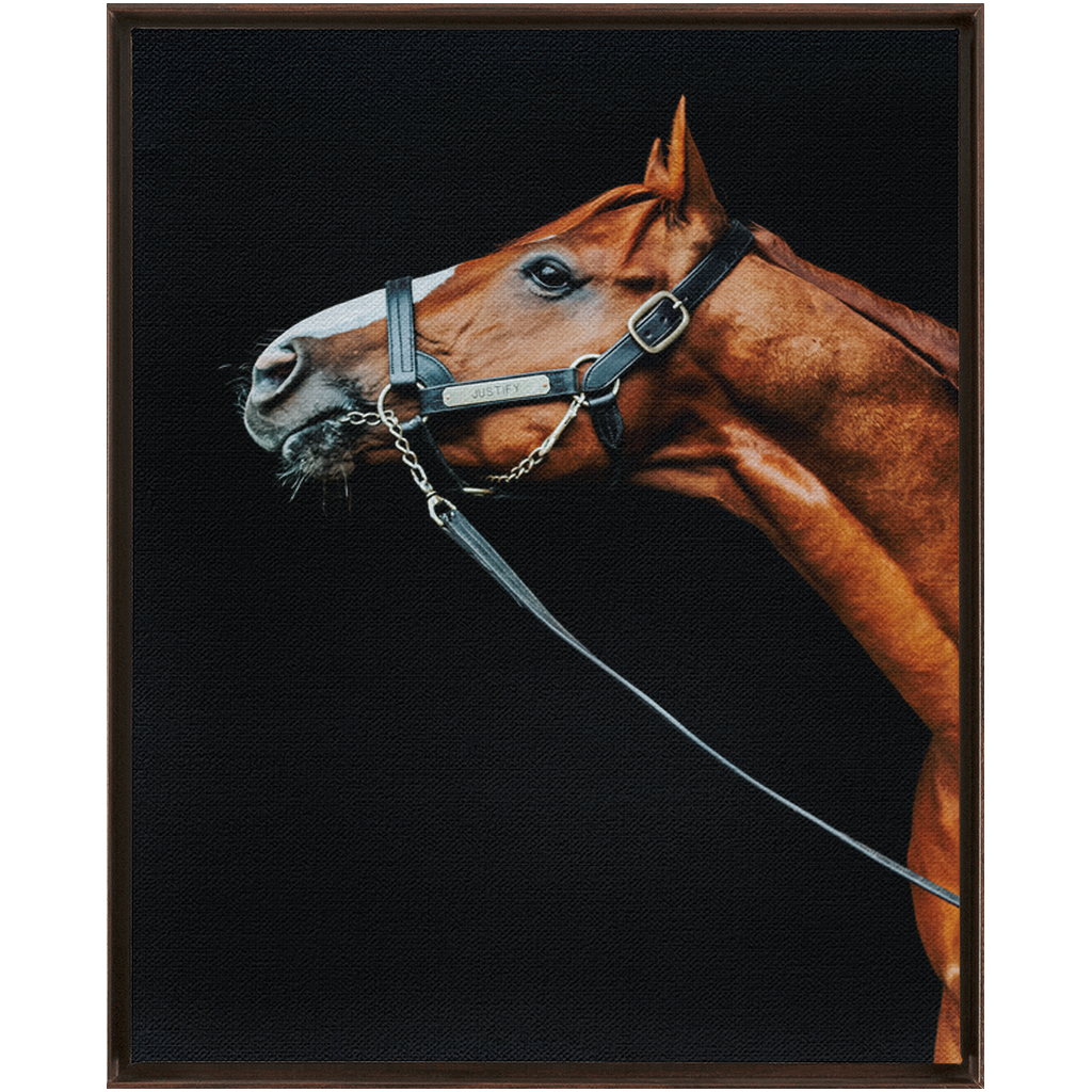 Justify Series 4, Framed Canvas