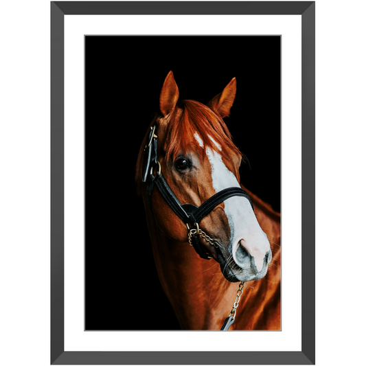 Justify Series 2, Framed Print