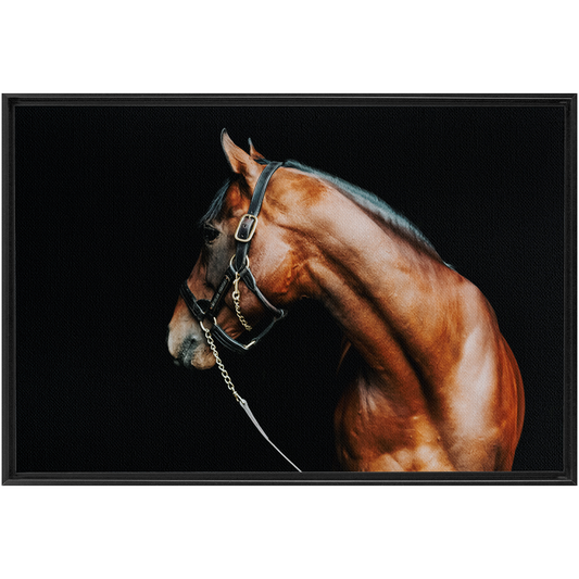 American Pharoah Series 5, Framed Canvas