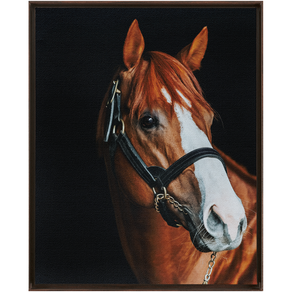 Justify Series 2, Framed Canvas