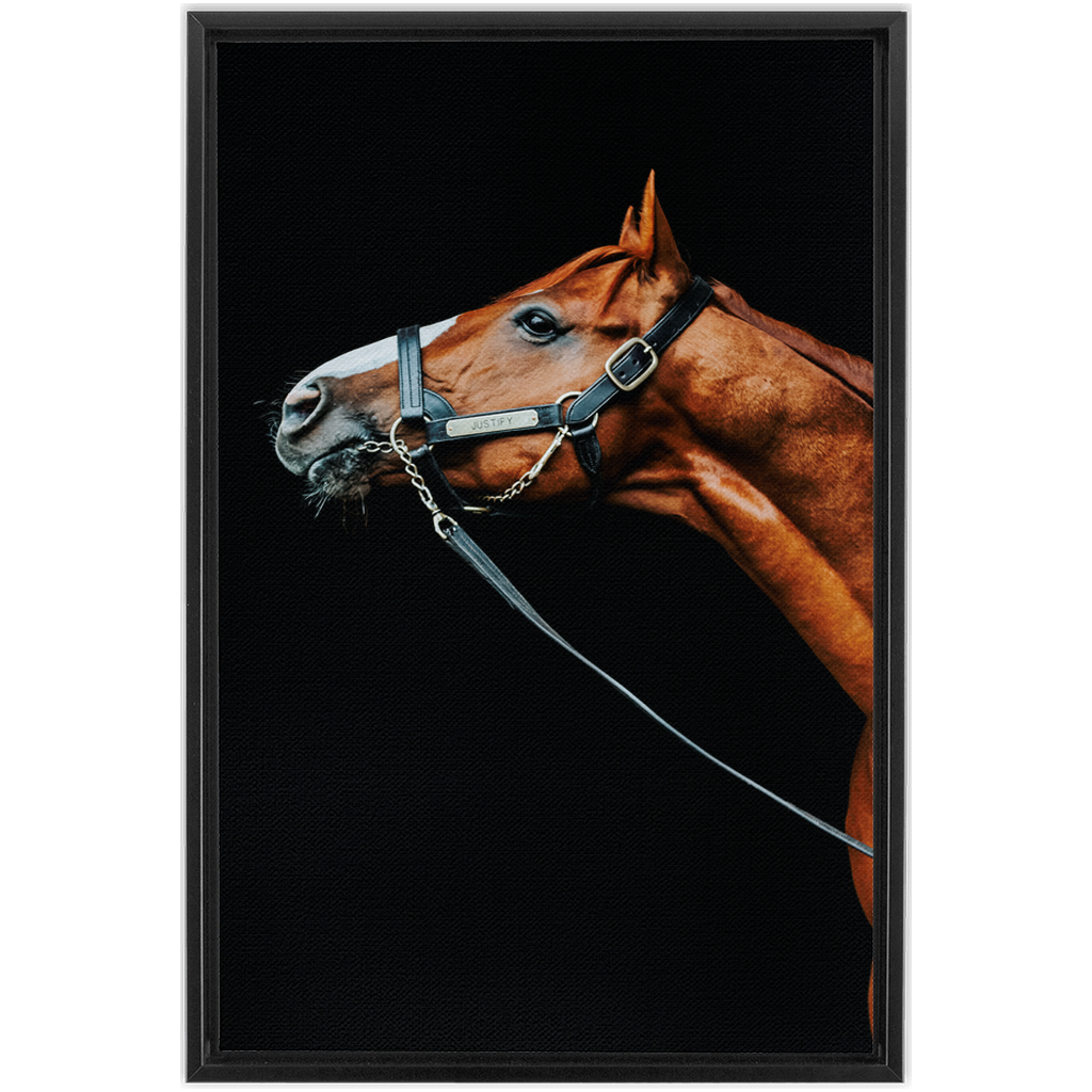 Justify Series 4, Framed Canvas