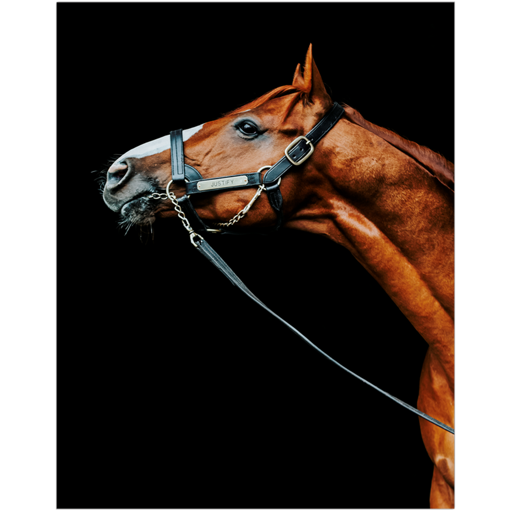 Justify Series 4, Print