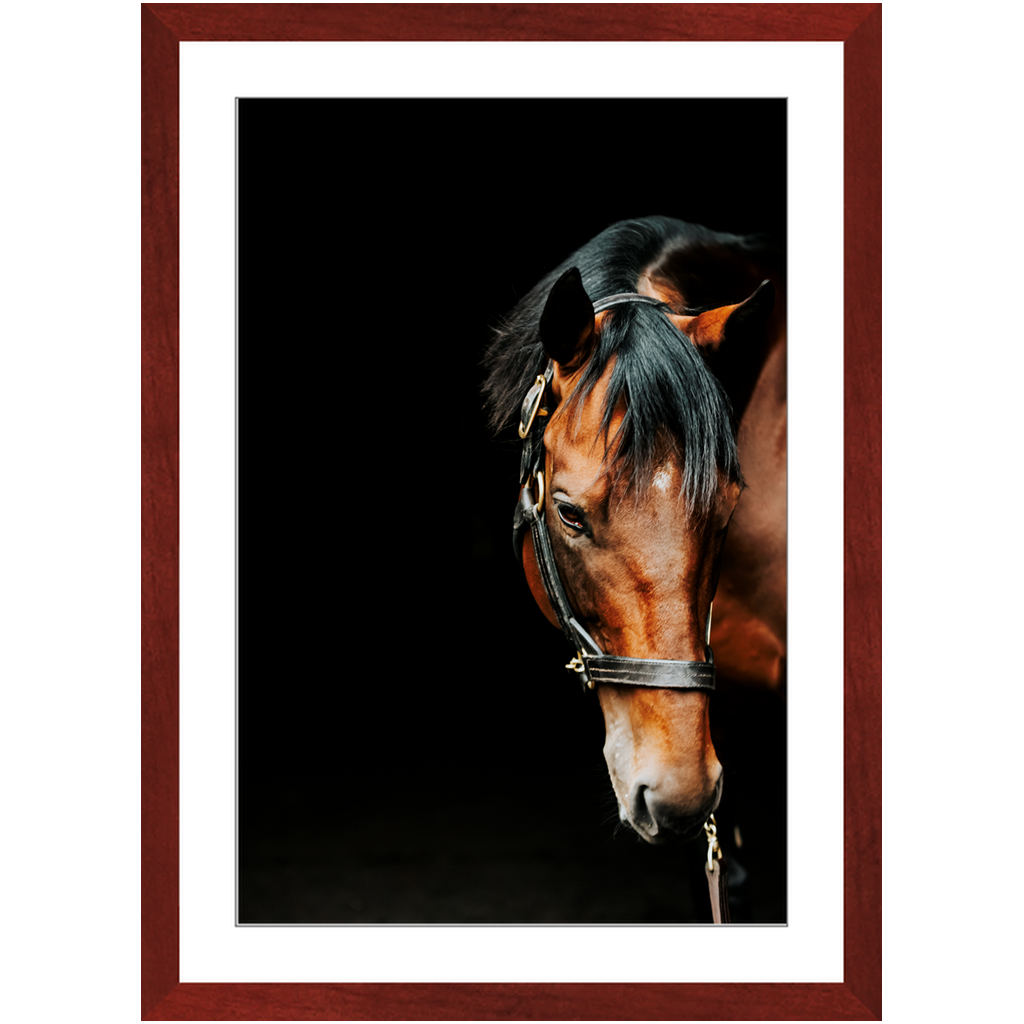 American Pharoah Series 6, Framed Print