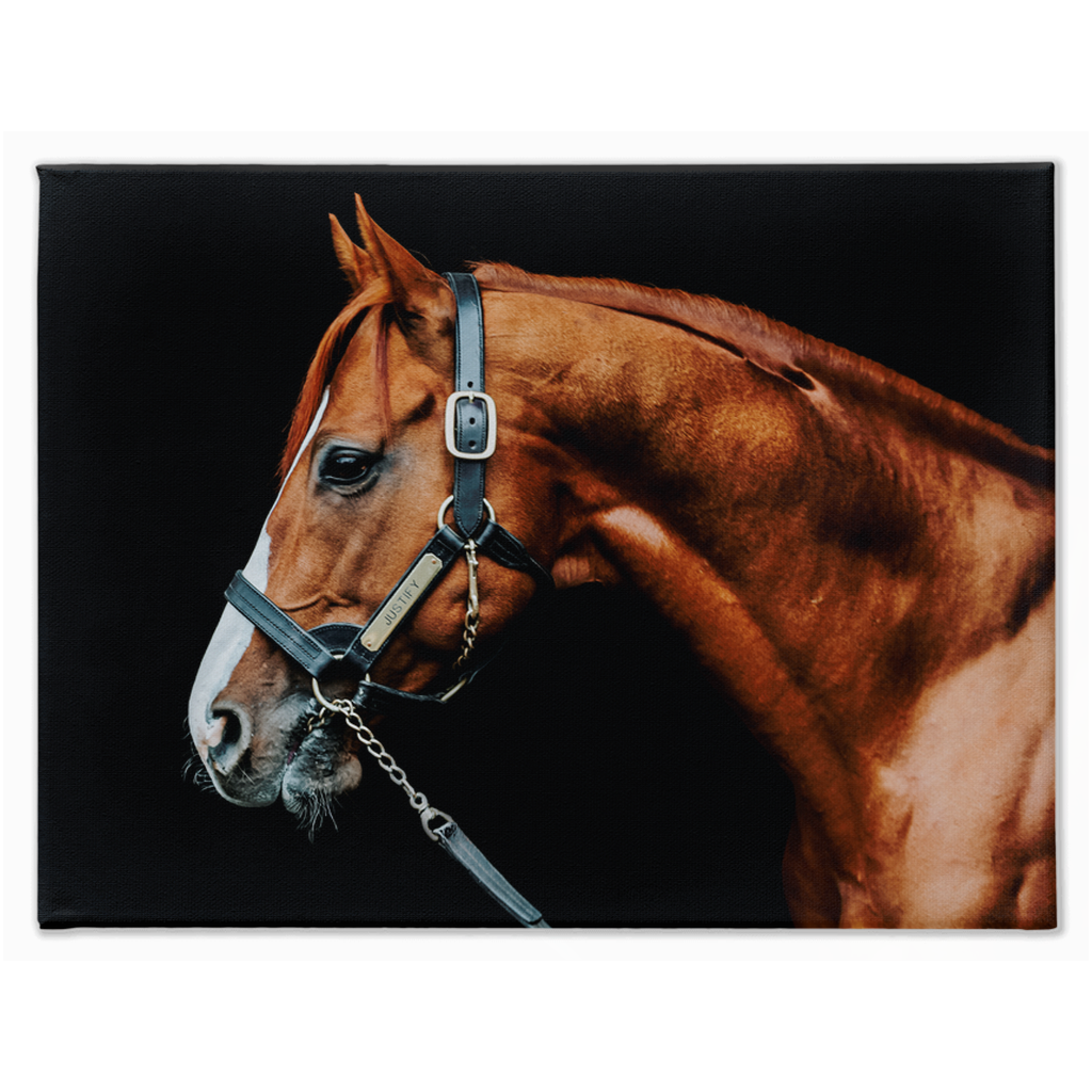 Justify Series 3, Stretched Canvas