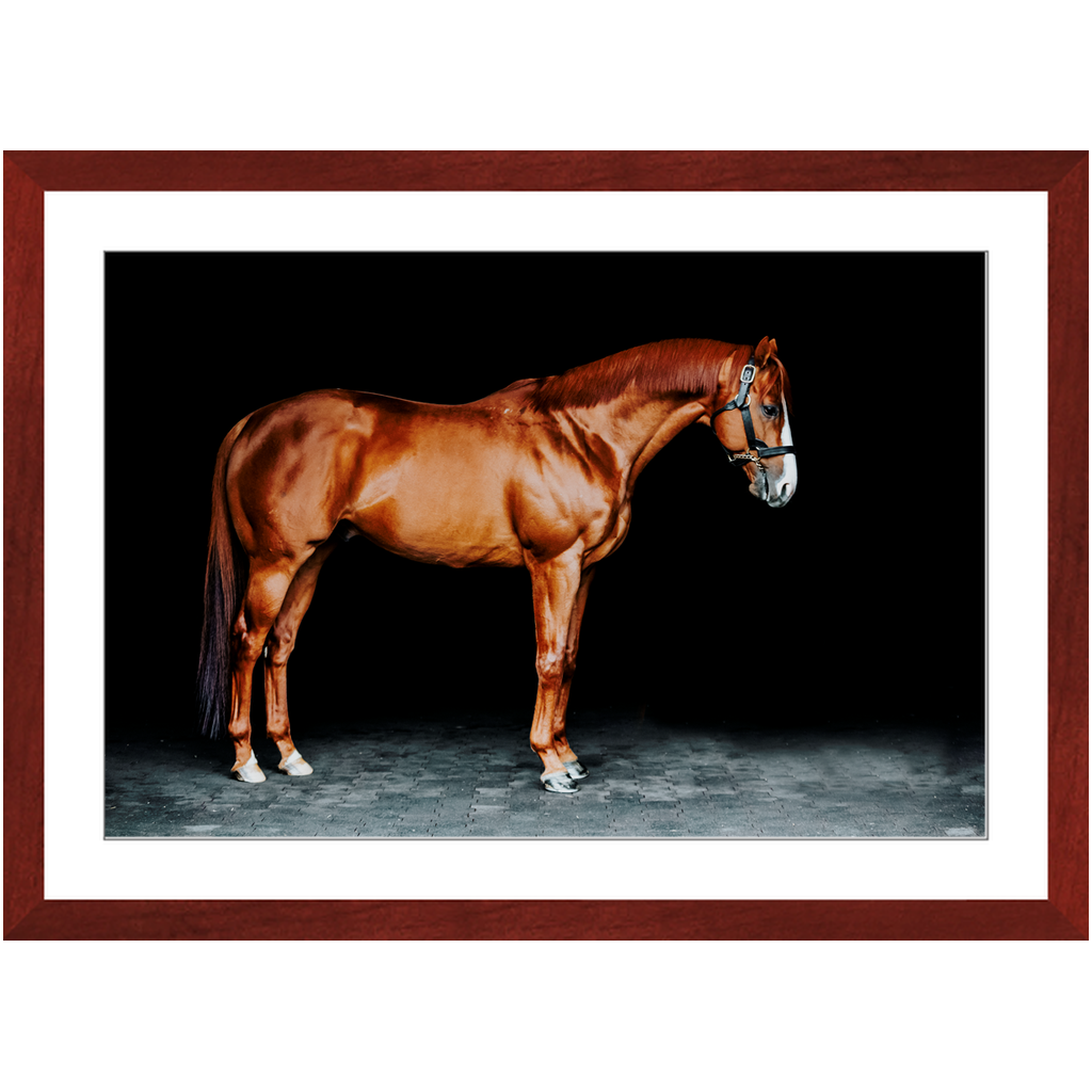 Justify Series 6, Framed Print