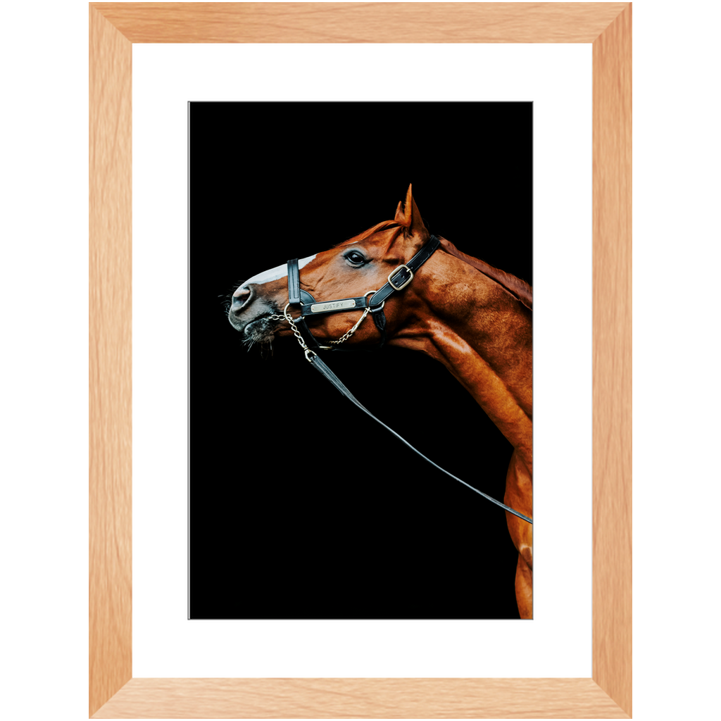 Justify Series 4, Framed Print