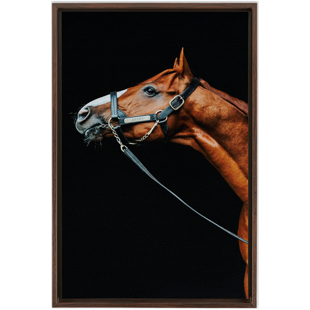 Justify Series 4, Framed Canvas