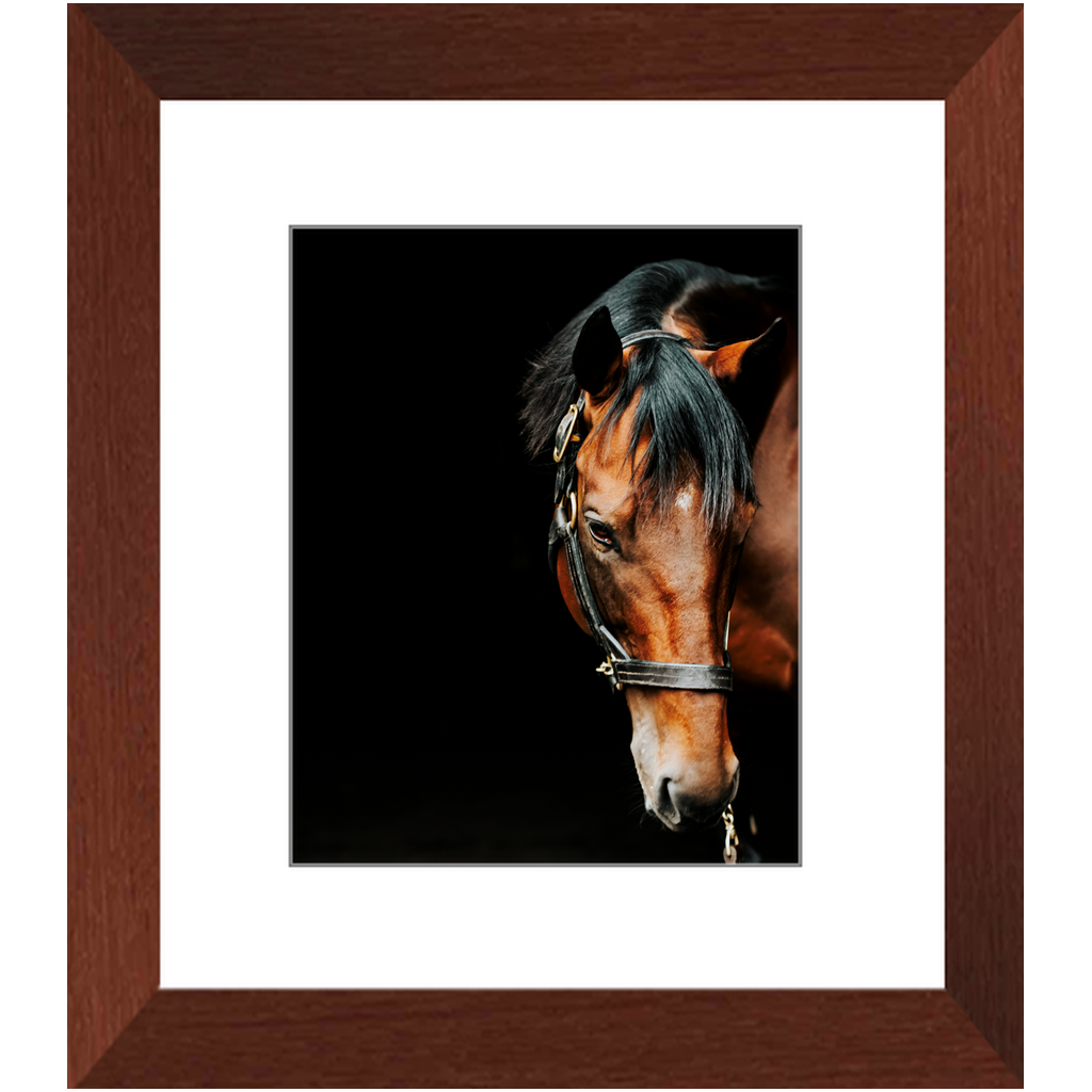 American Pharoah Series 6, Framed Print