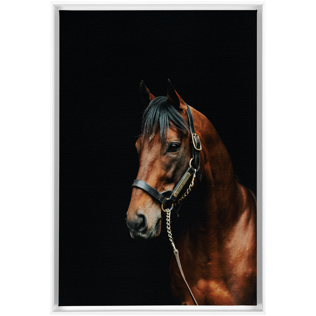 American Pharoah Series 2, Framed Canvas