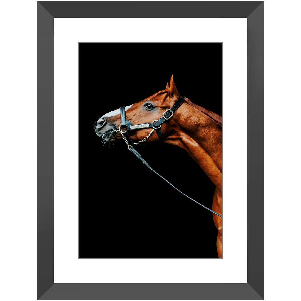 Justify Series 4, Framed Print