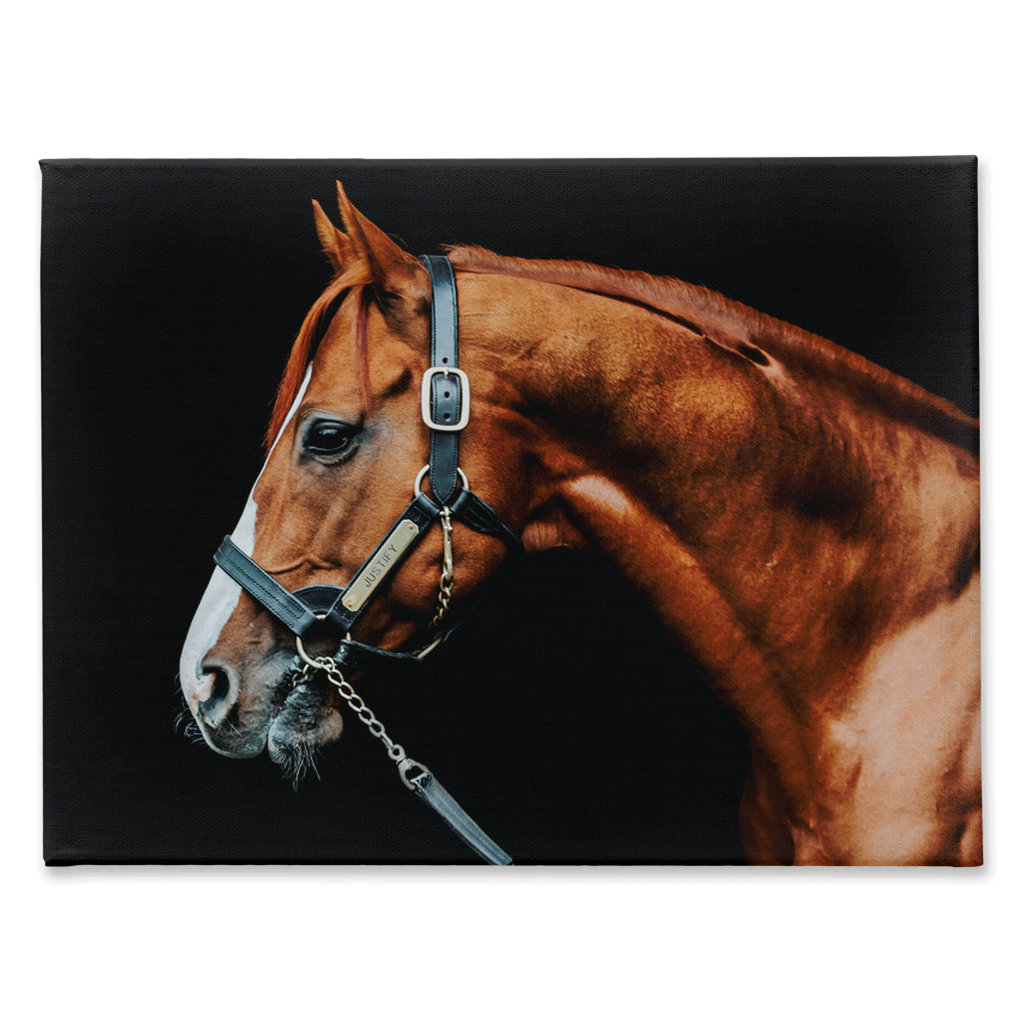 Justify Series 3, Stretched Canvas