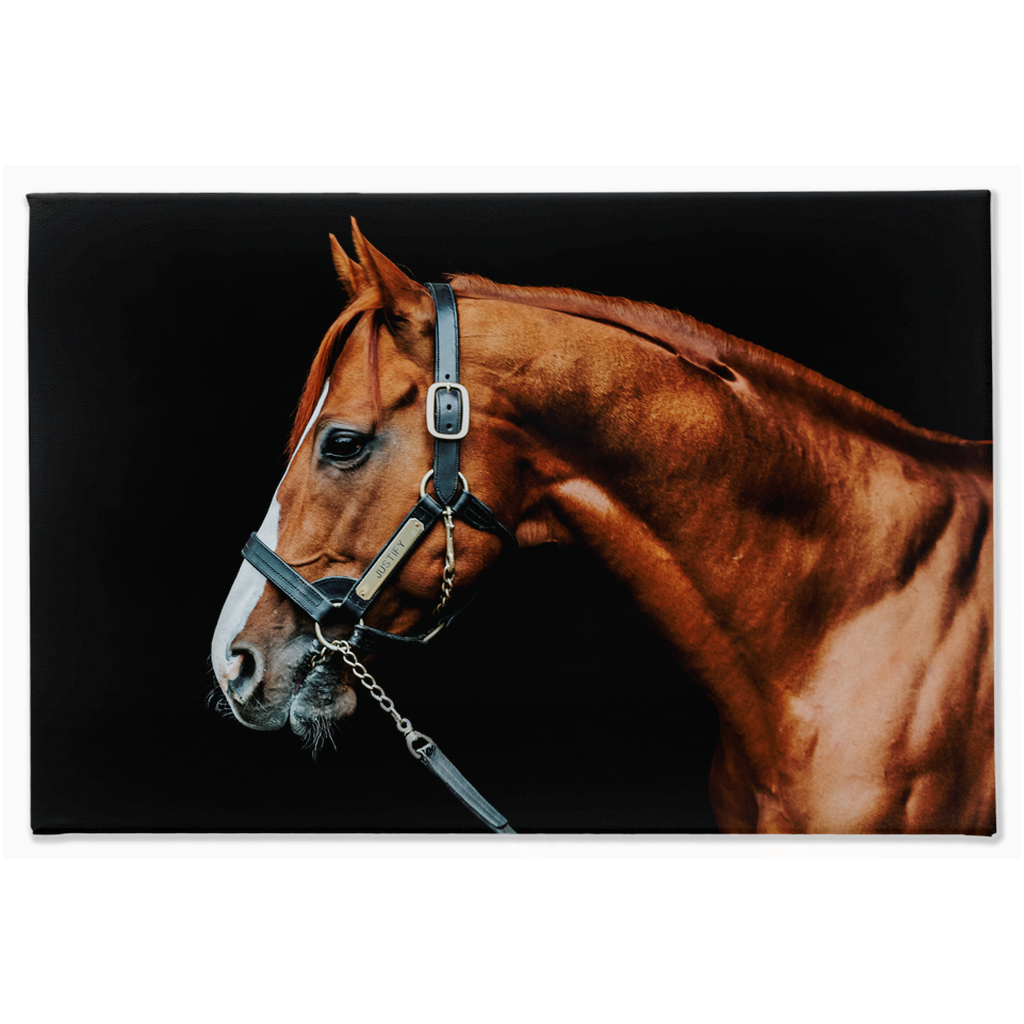 Justify Series 3, Stretched Canvas