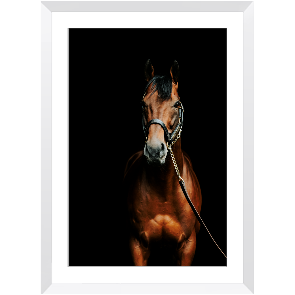 American Pharoah Series 4, Framed Print