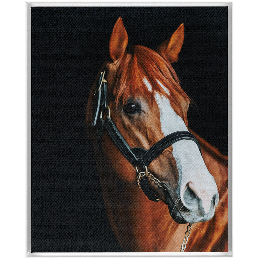 Justify Series 2, Framed Canvas