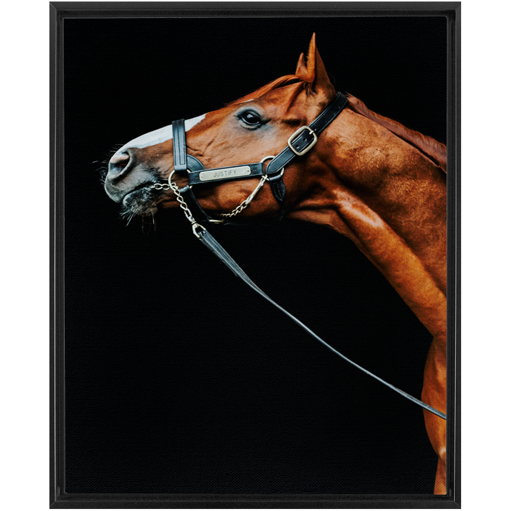 Justify Series 4, Framed Canvas