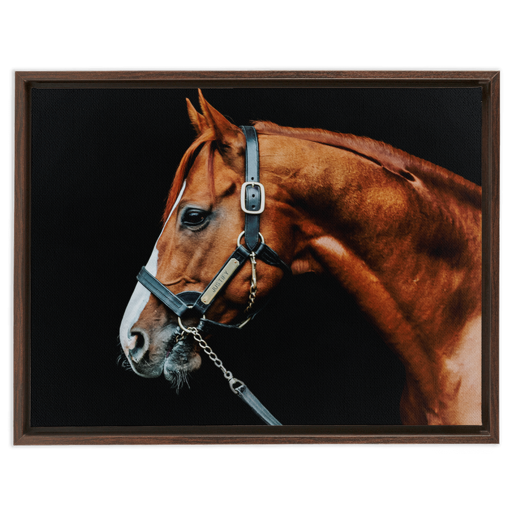 Justify Series 3, Framed Canvas