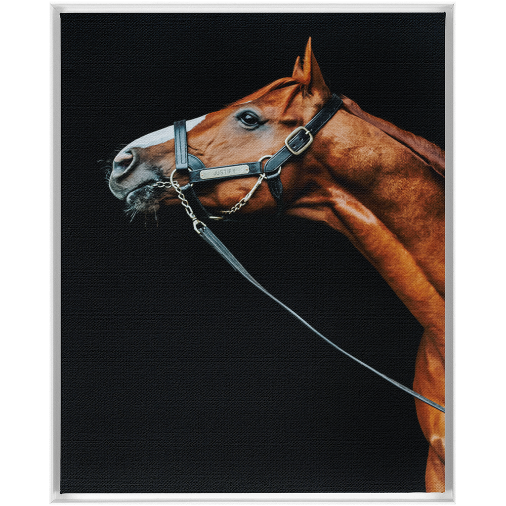 Justify Series 4, Framed Canvas