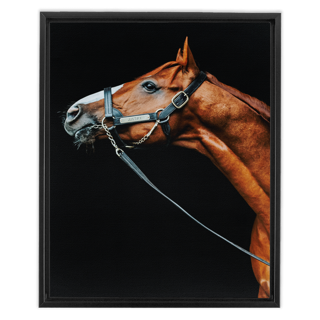 Justify Series 4, Framed Canvas