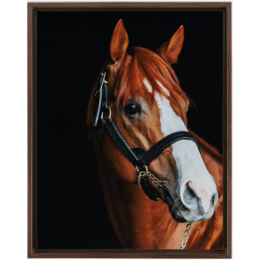 Justify Series 2, Framed Canvas