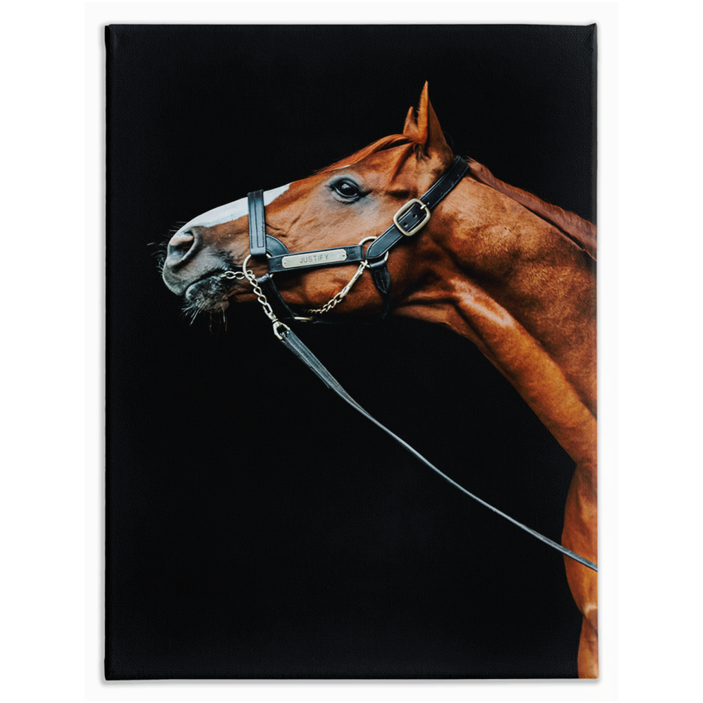 Justify Series 4, Stretched Canvas