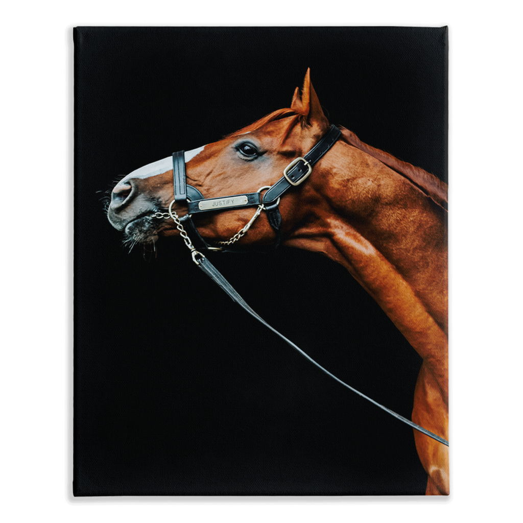 Justify Series 4, Stretched Canvas