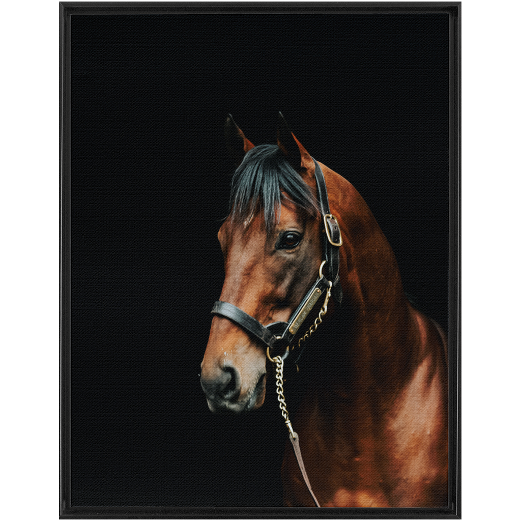 American Pharoah Series 2, Framed Canvas