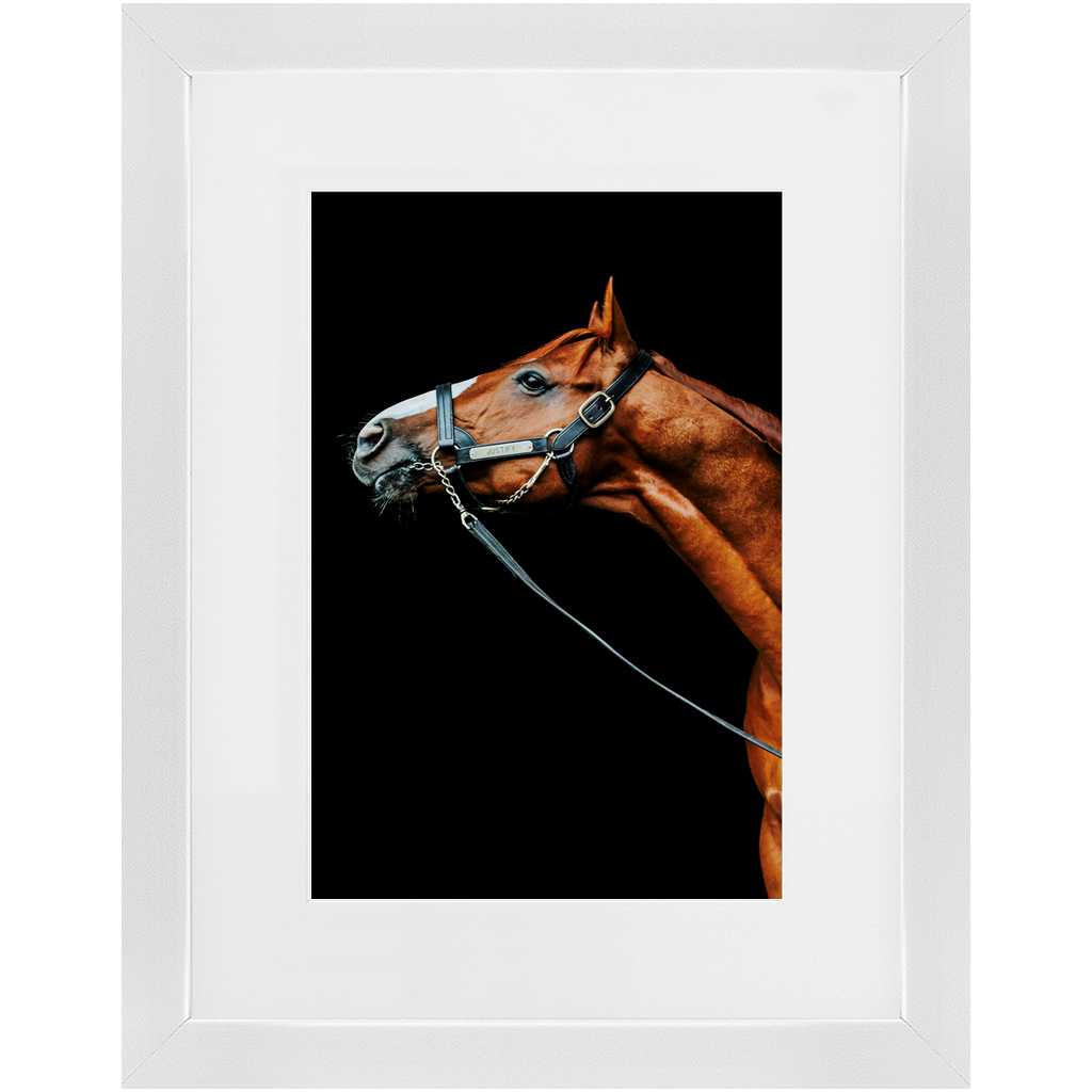 Justify Series 4, Framed Print