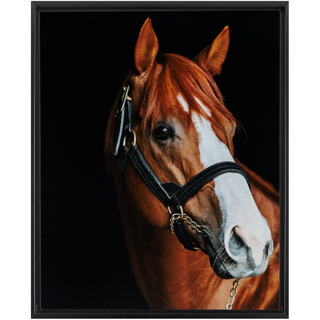 Justify Series 2, Framed Canvas